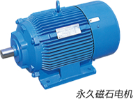 永久磁石(IPM)電機.jpg